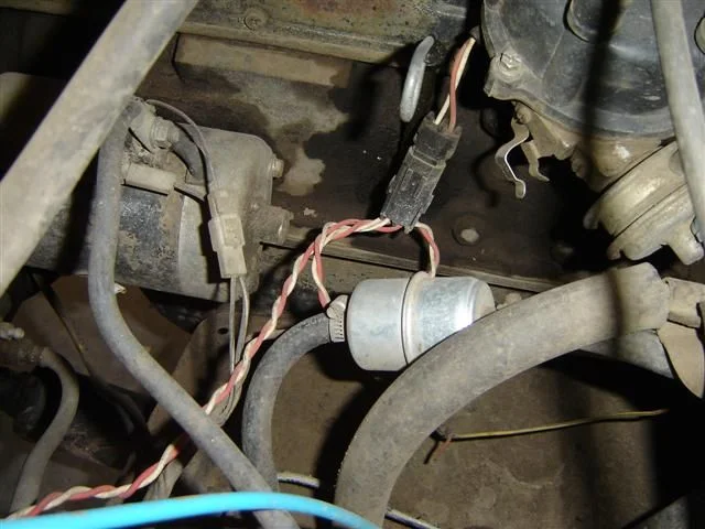 DSC01243 (Small).webp