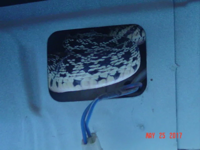 DSC01402.webp