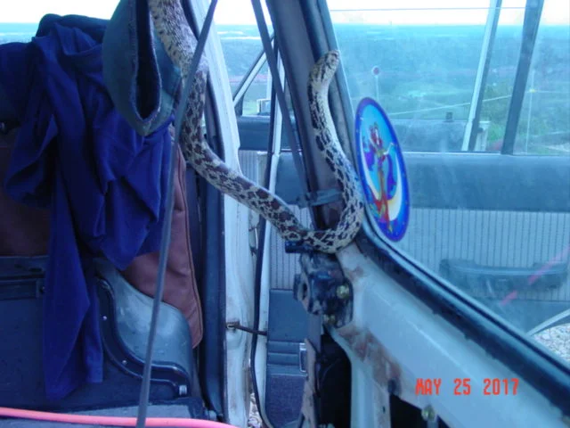 DSC01407.webp