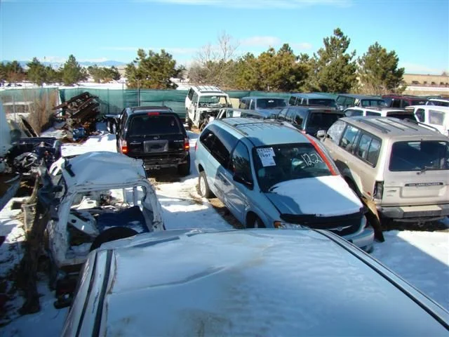 DSC01423 (Small).webp