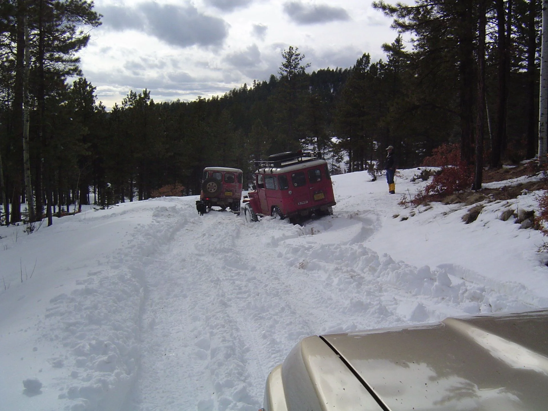 DSC01452.webp
