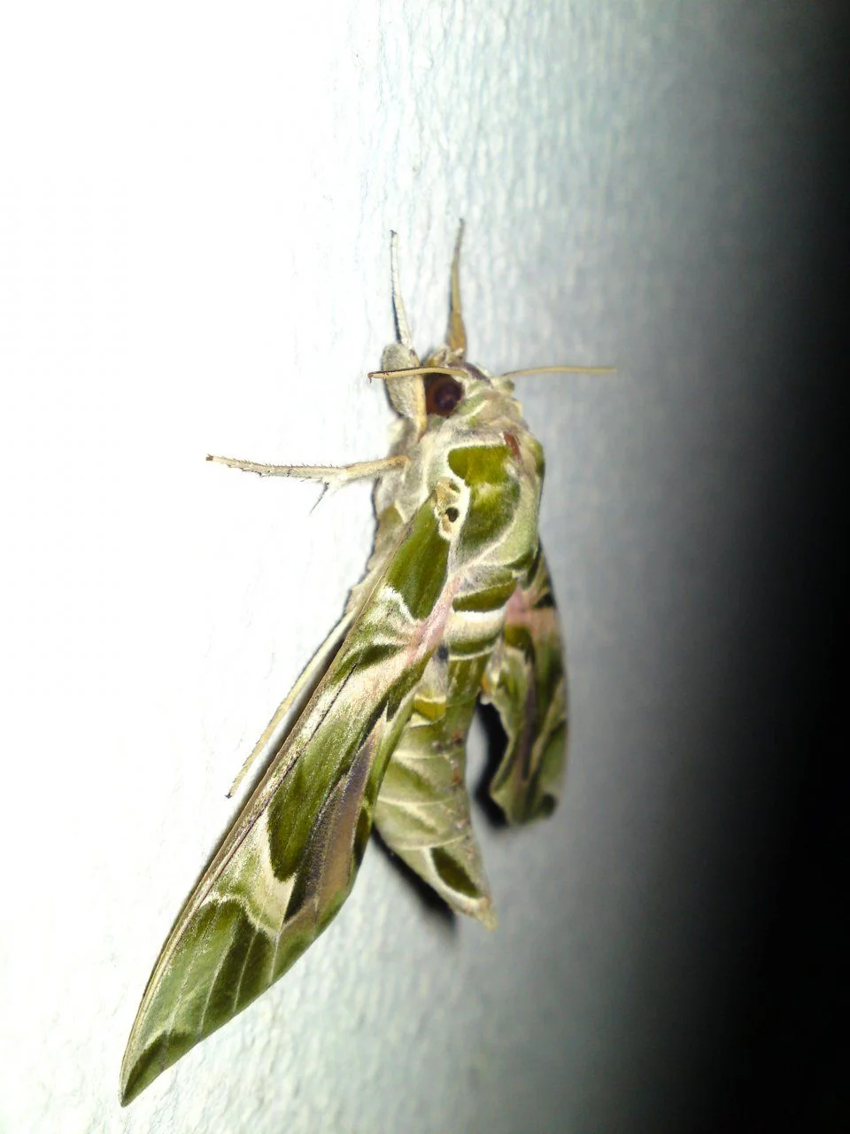 DSC01609.webp