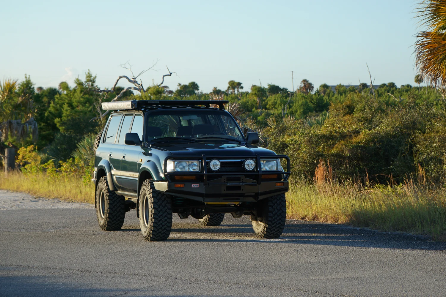 DSC01720-2.webp