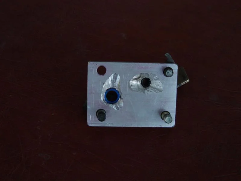 DSC01922.webp