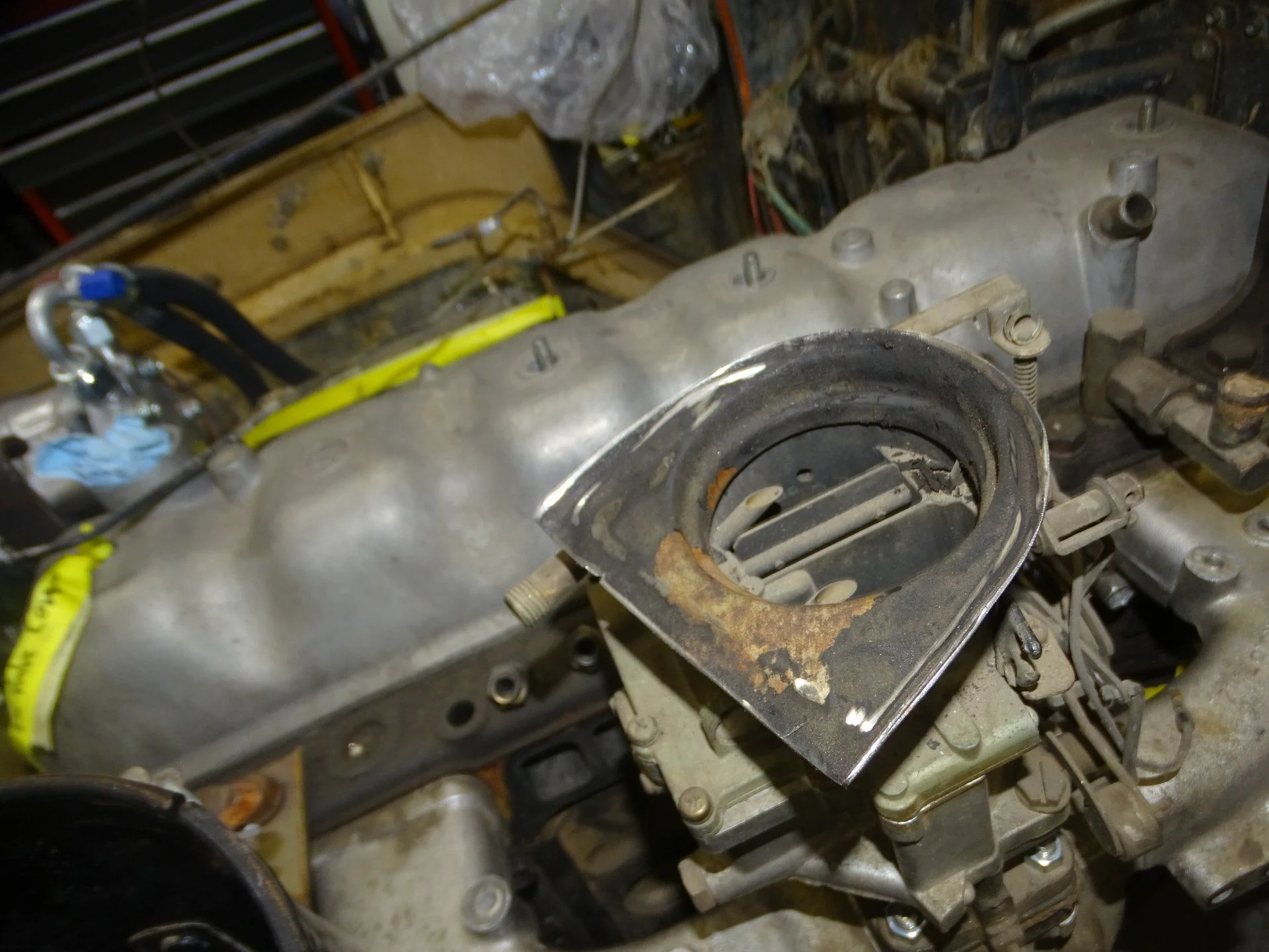 DSC01950.webp