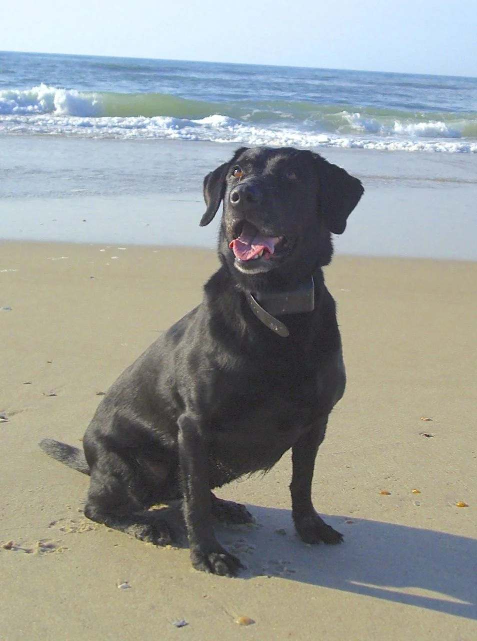 DSC01966.webp