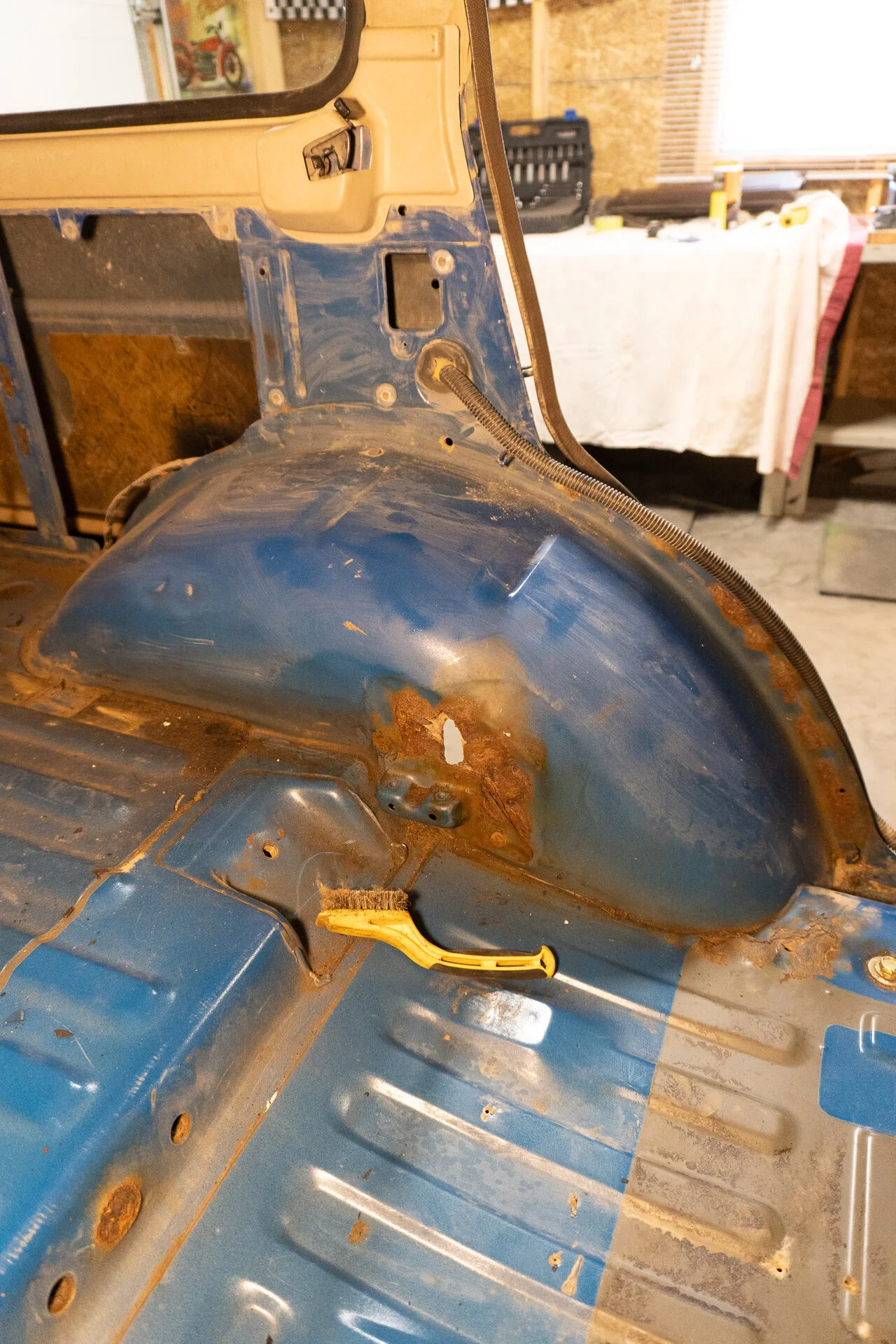 DSC02019.jpg