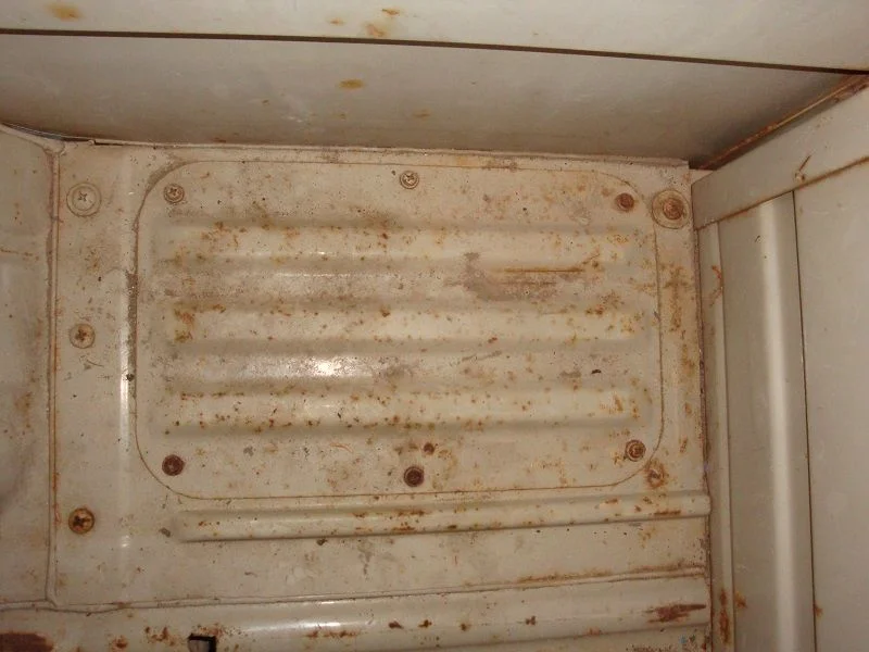DSC02186.webp