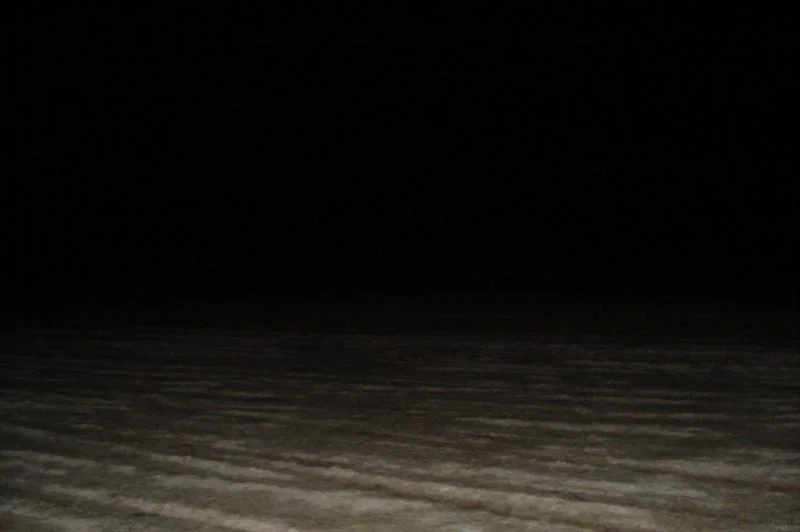DSC02190.webp