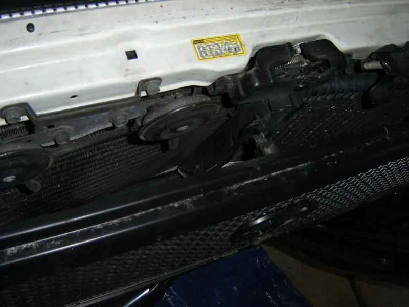 DSC02414.webp
