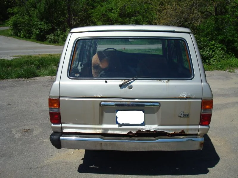 DSC02463.webp