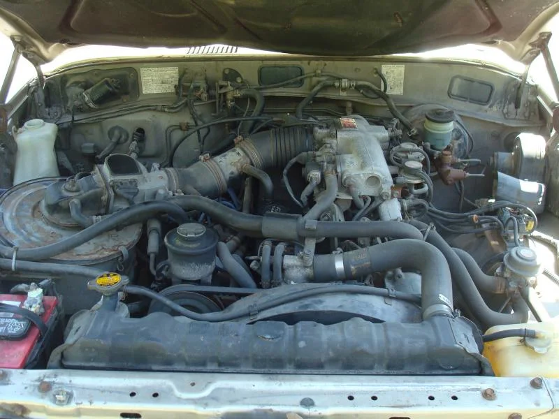 DSC02470.webp