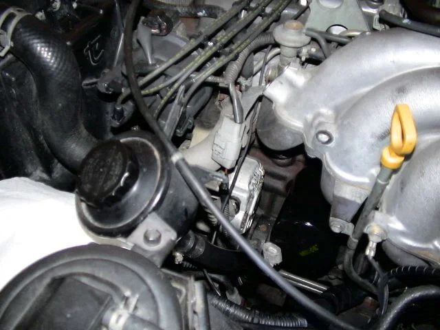DSC02487.webp