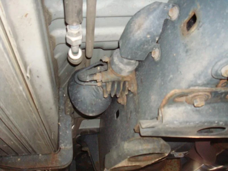 DSC02524.webp