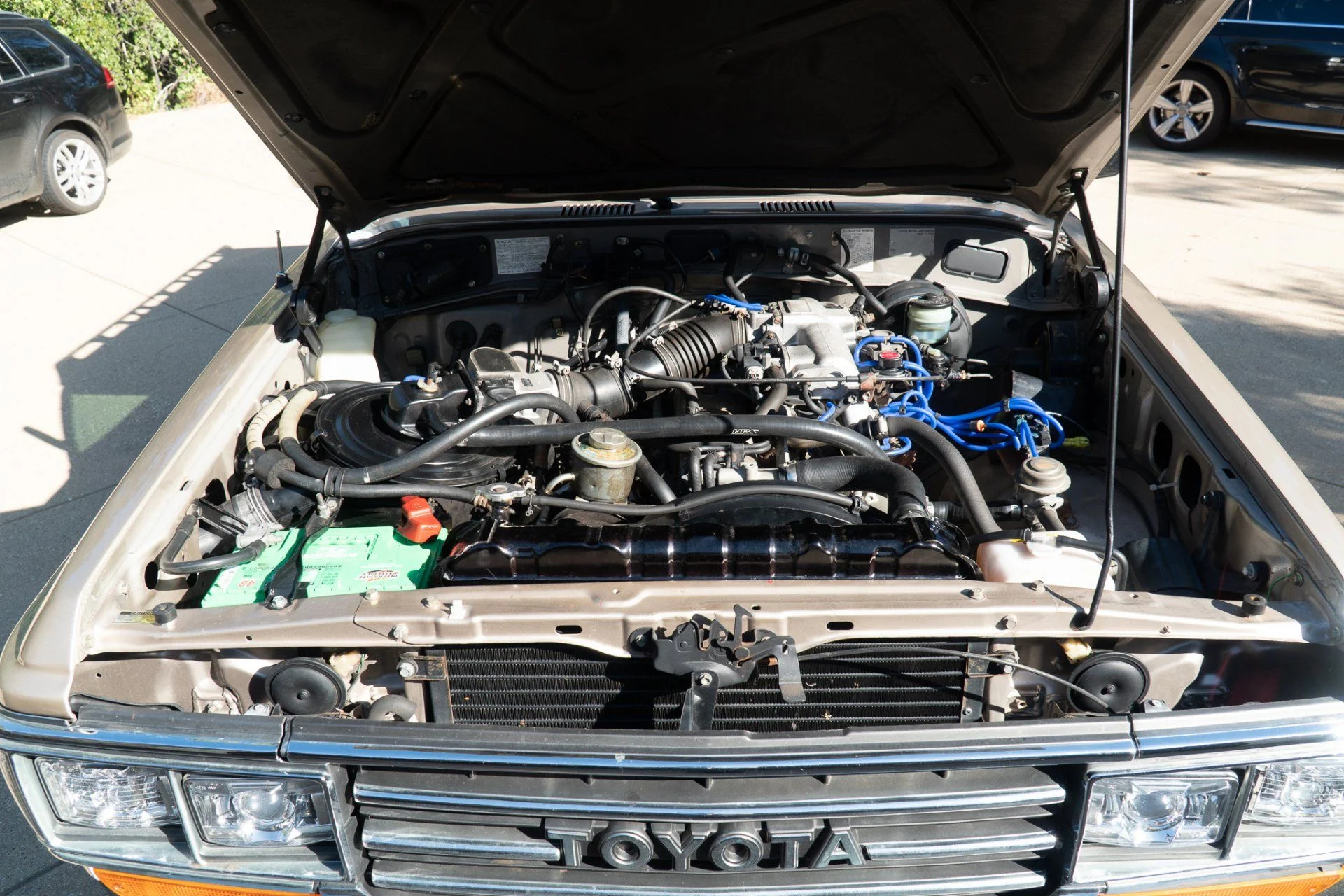 DSC02997.webp