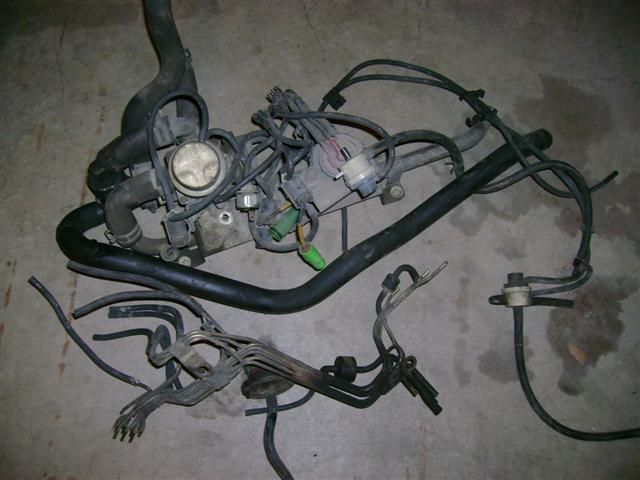 DSC03112 (Small).JPG