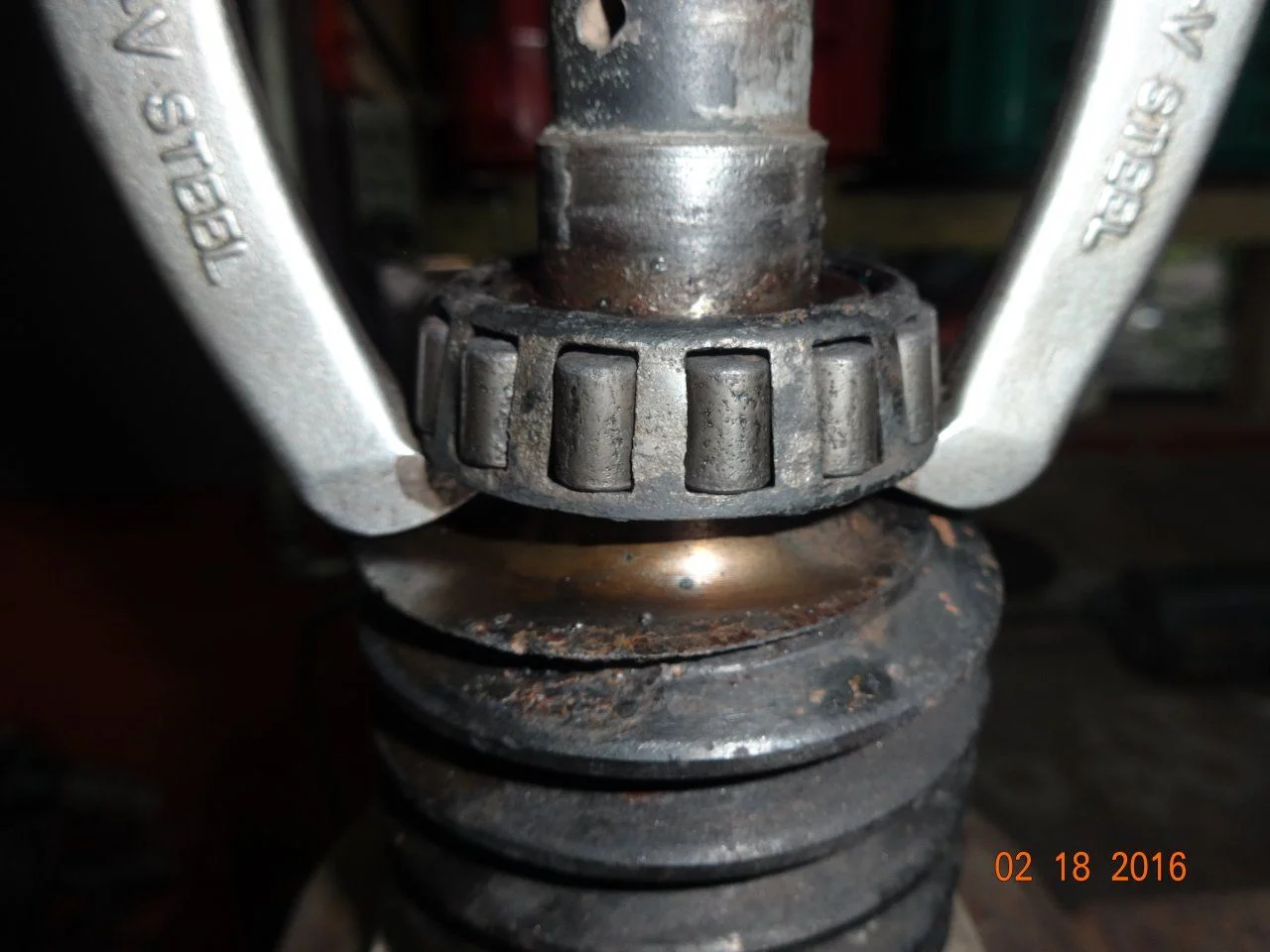 DSC03173.webp