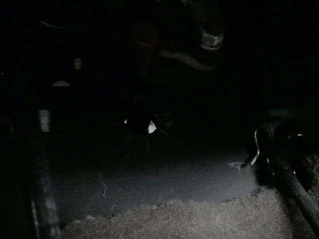DSC03223.webp