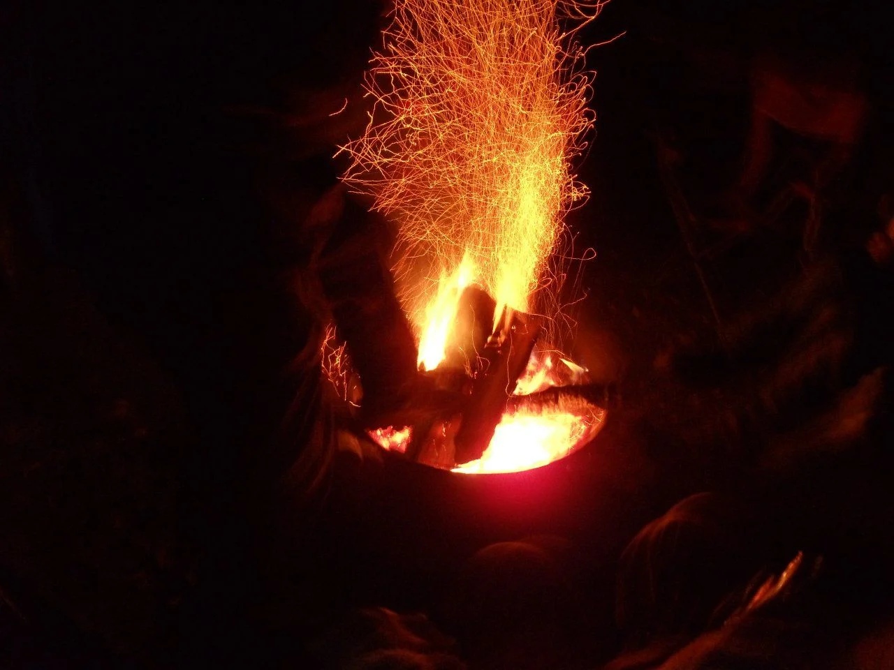 DSC03380.webp