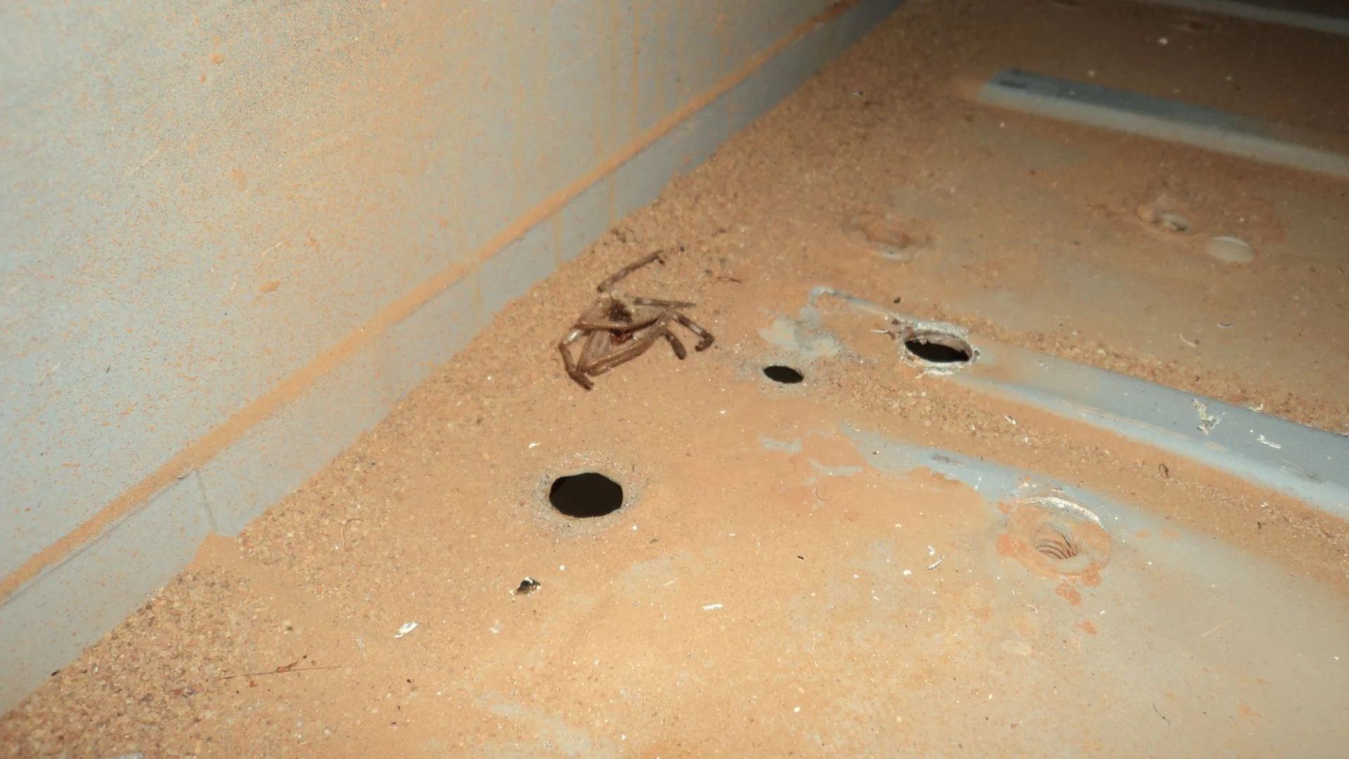 DSC03529.webp