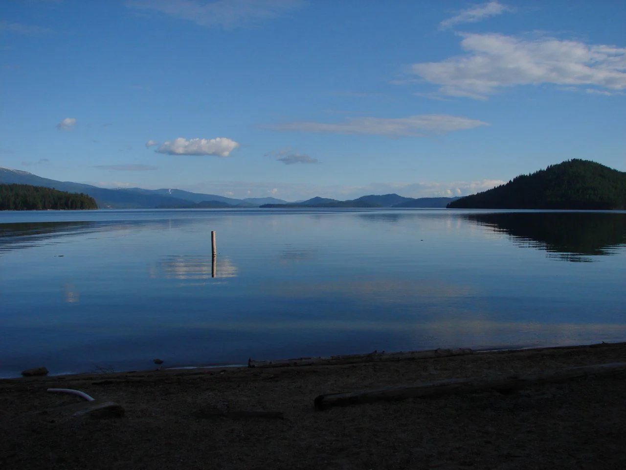 DSC03539.webp