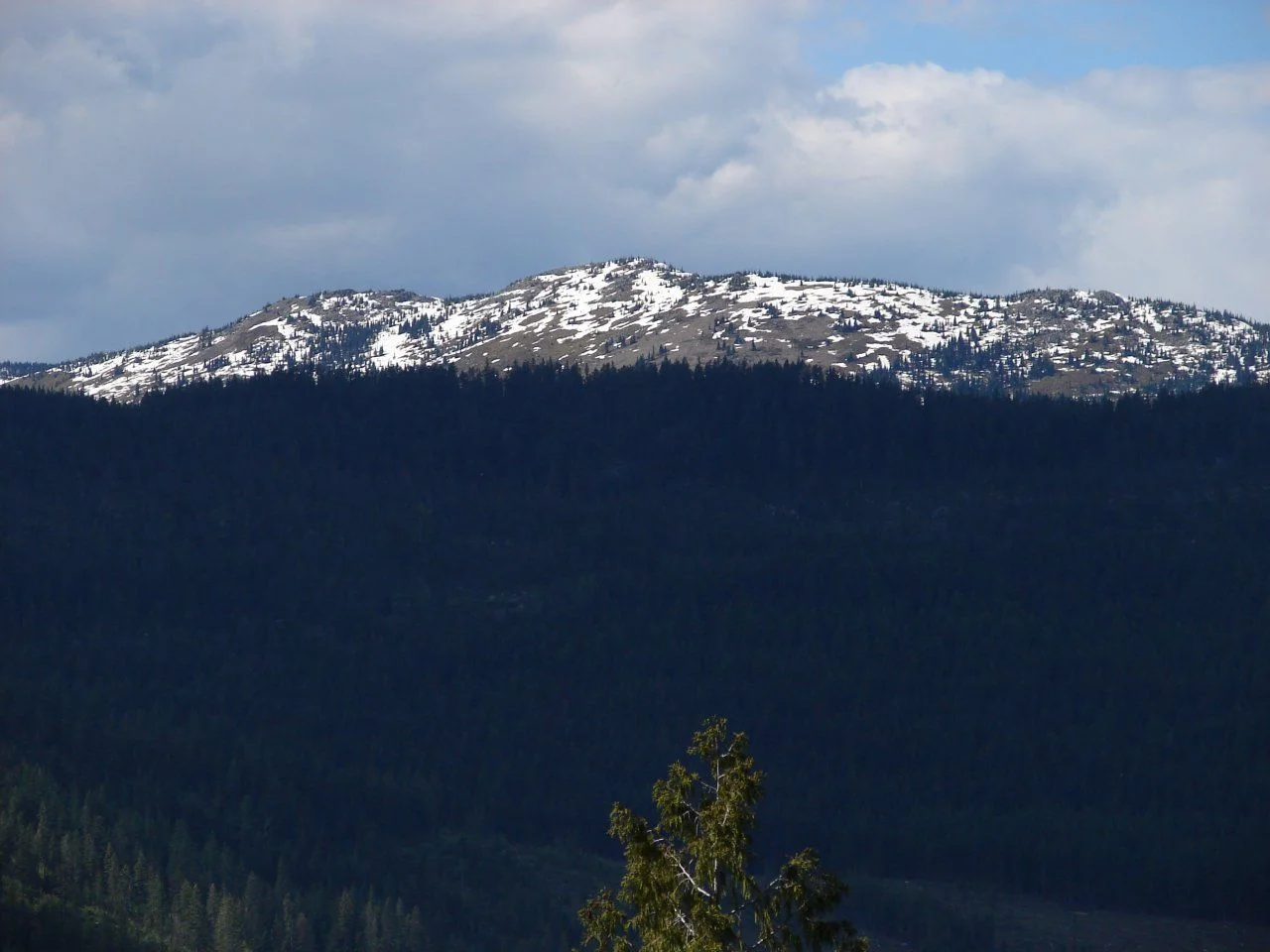 DSC03581.webp