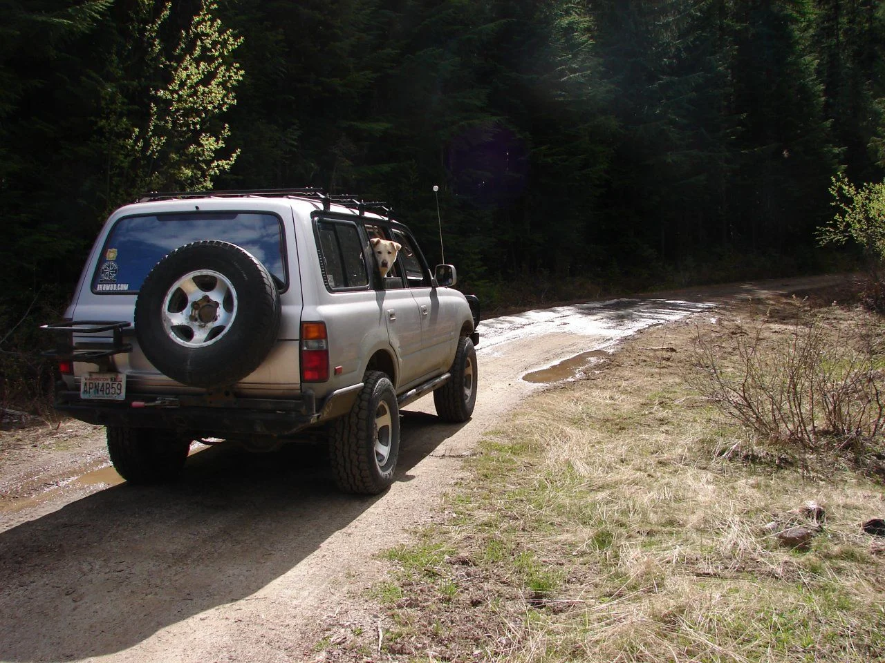 DSC03583.webp