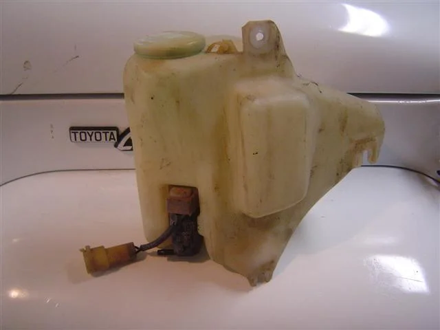 DSC03632 (Small).webp