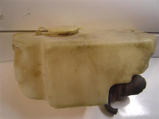 DSC03633 (Small).webp