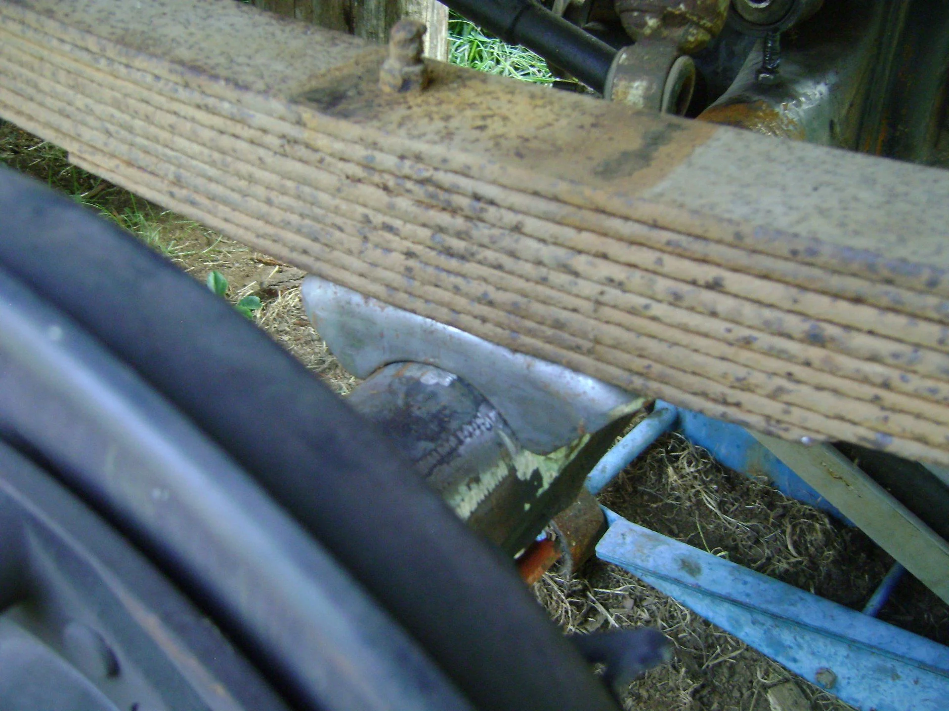DSC04817.webp