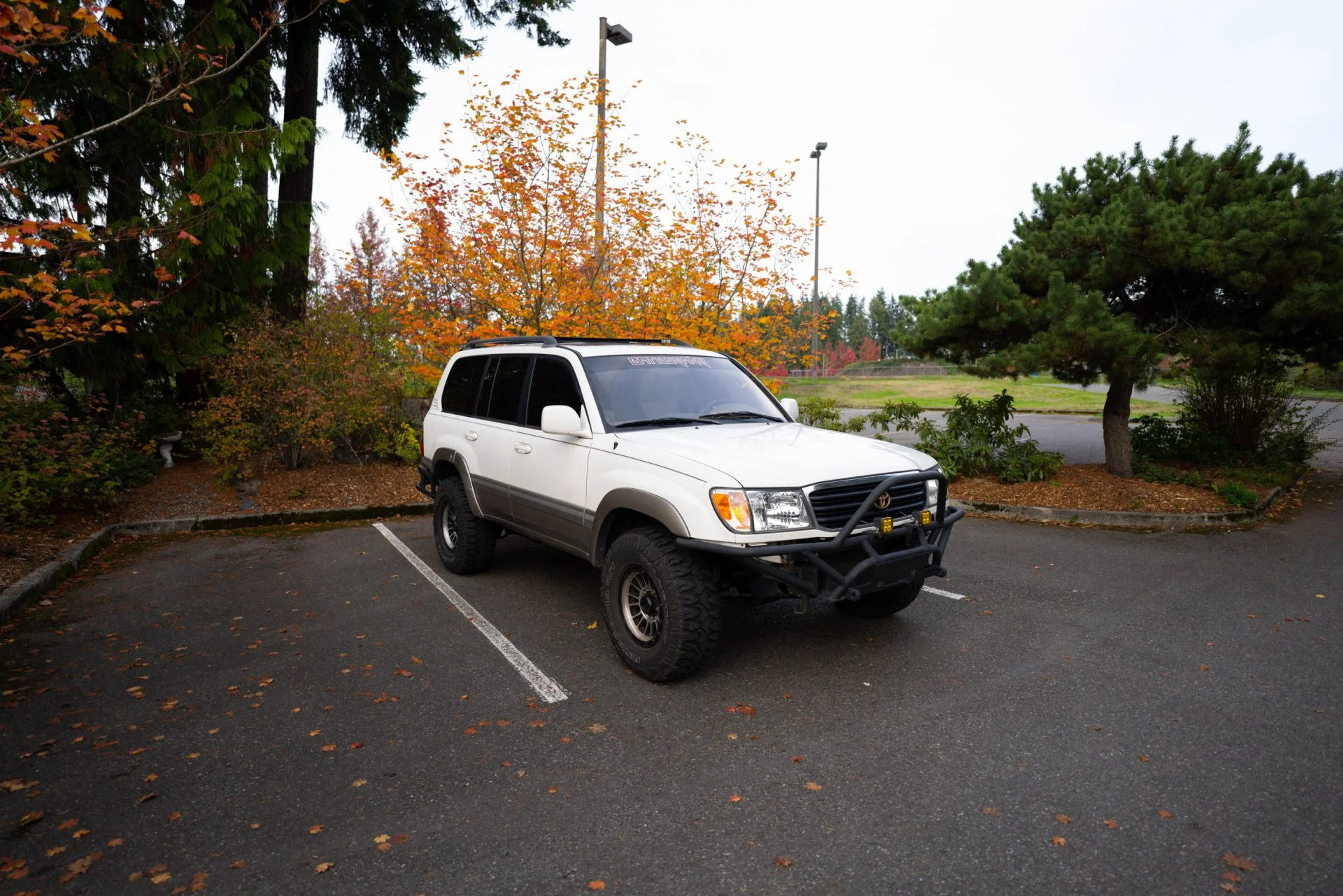 DSC04863.webp