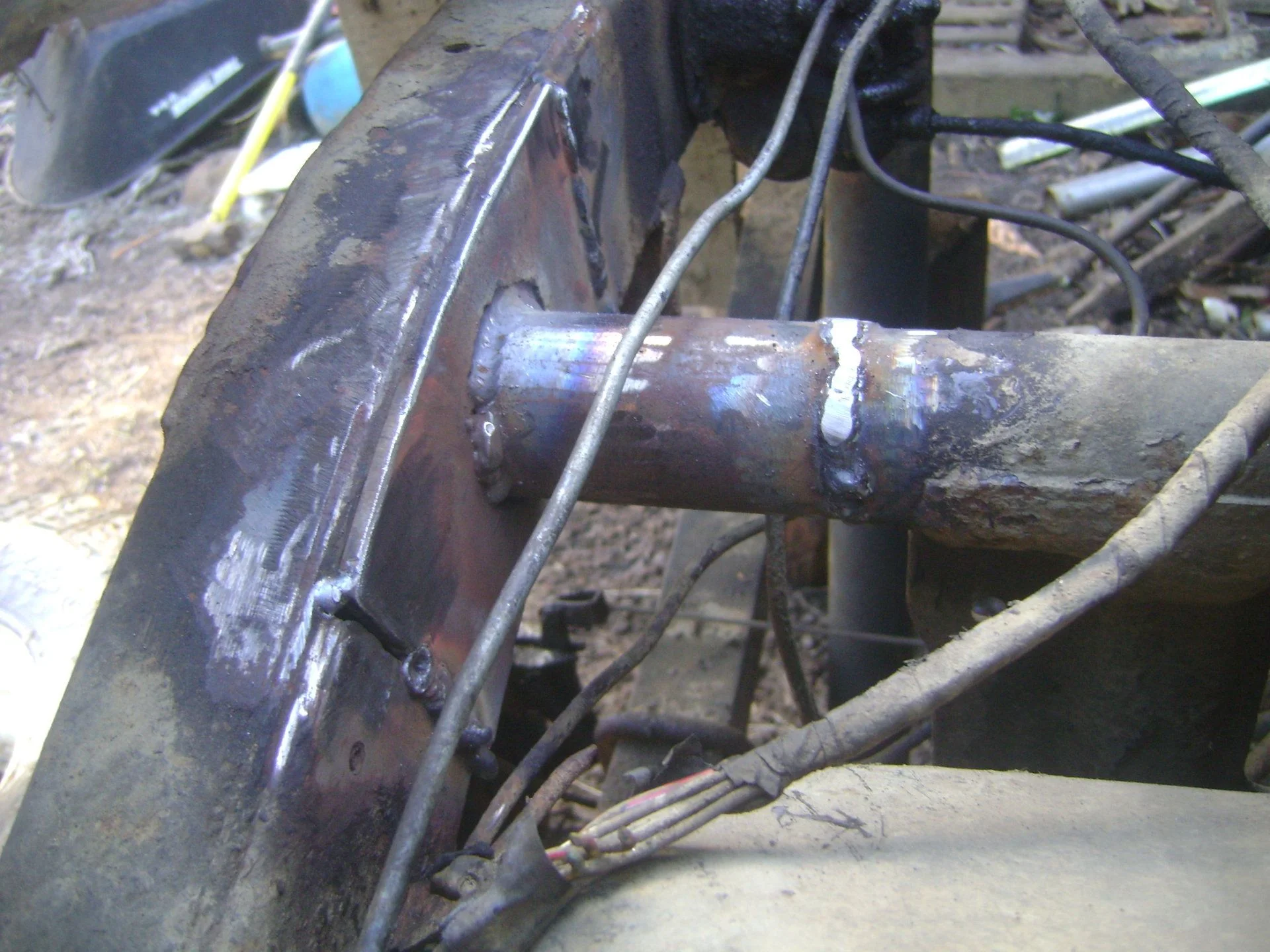 DSC04955.webp