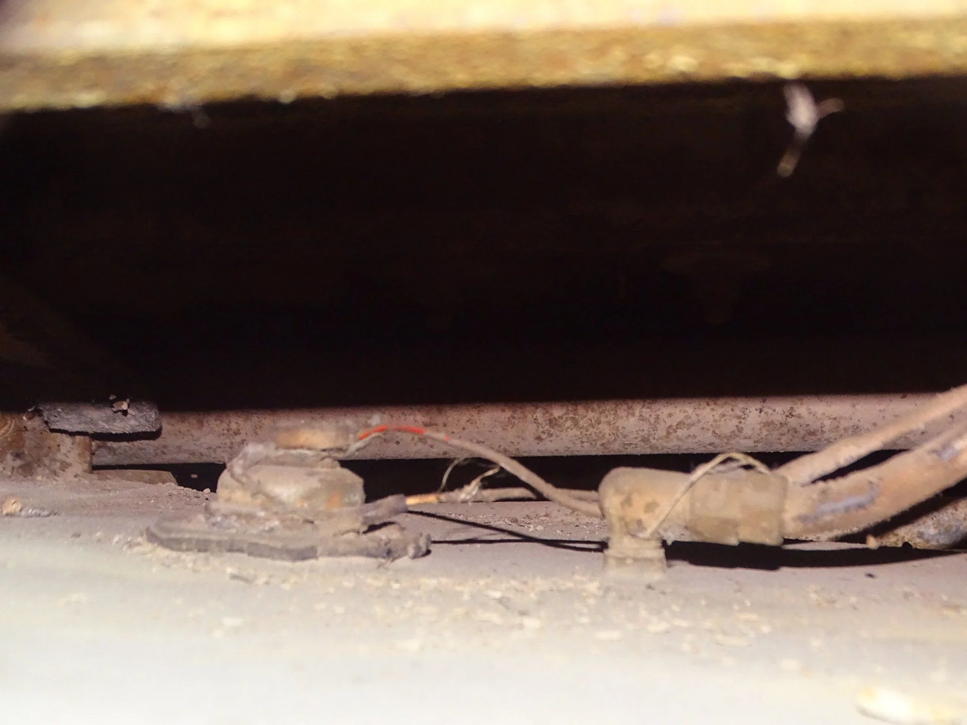 DSC04995.webp