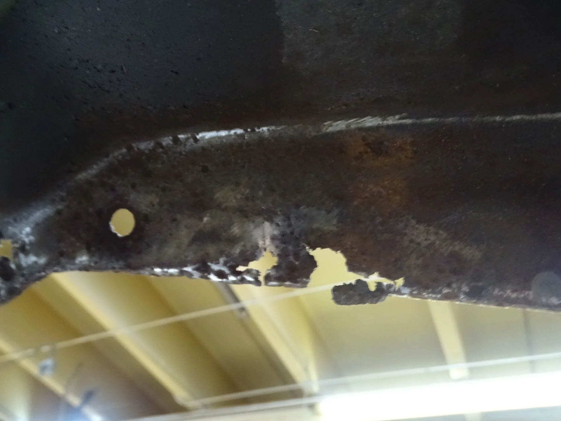 DSC05136.webp