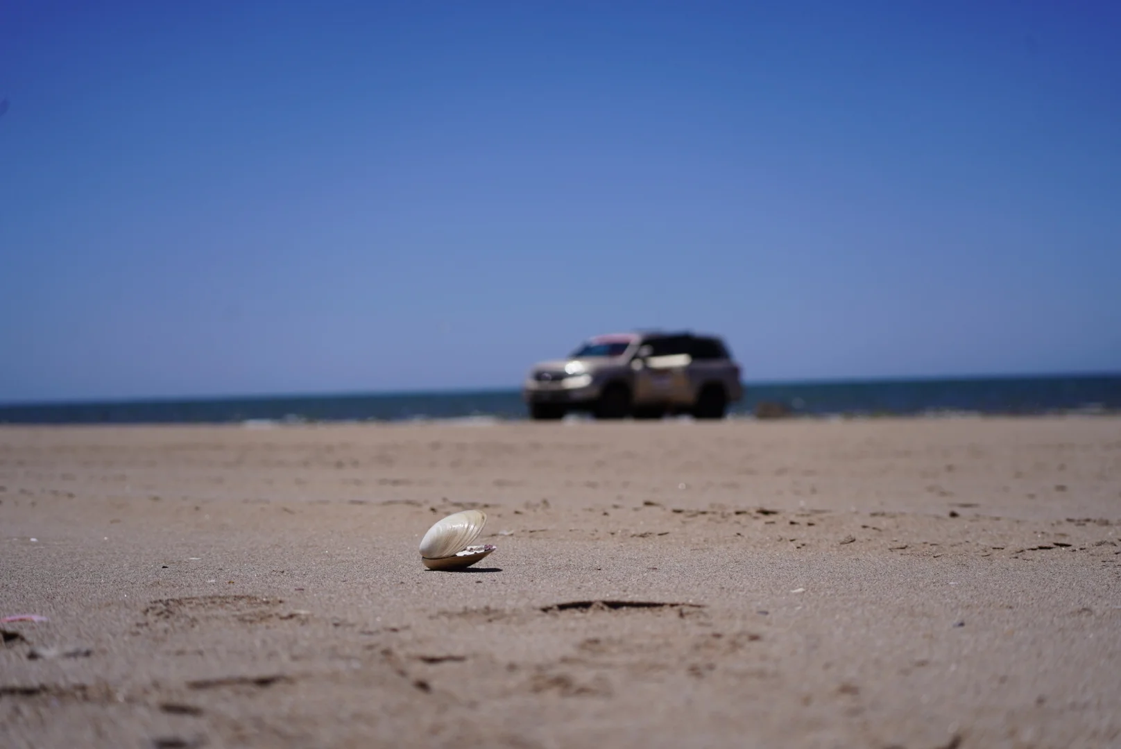 DSC05324.webp