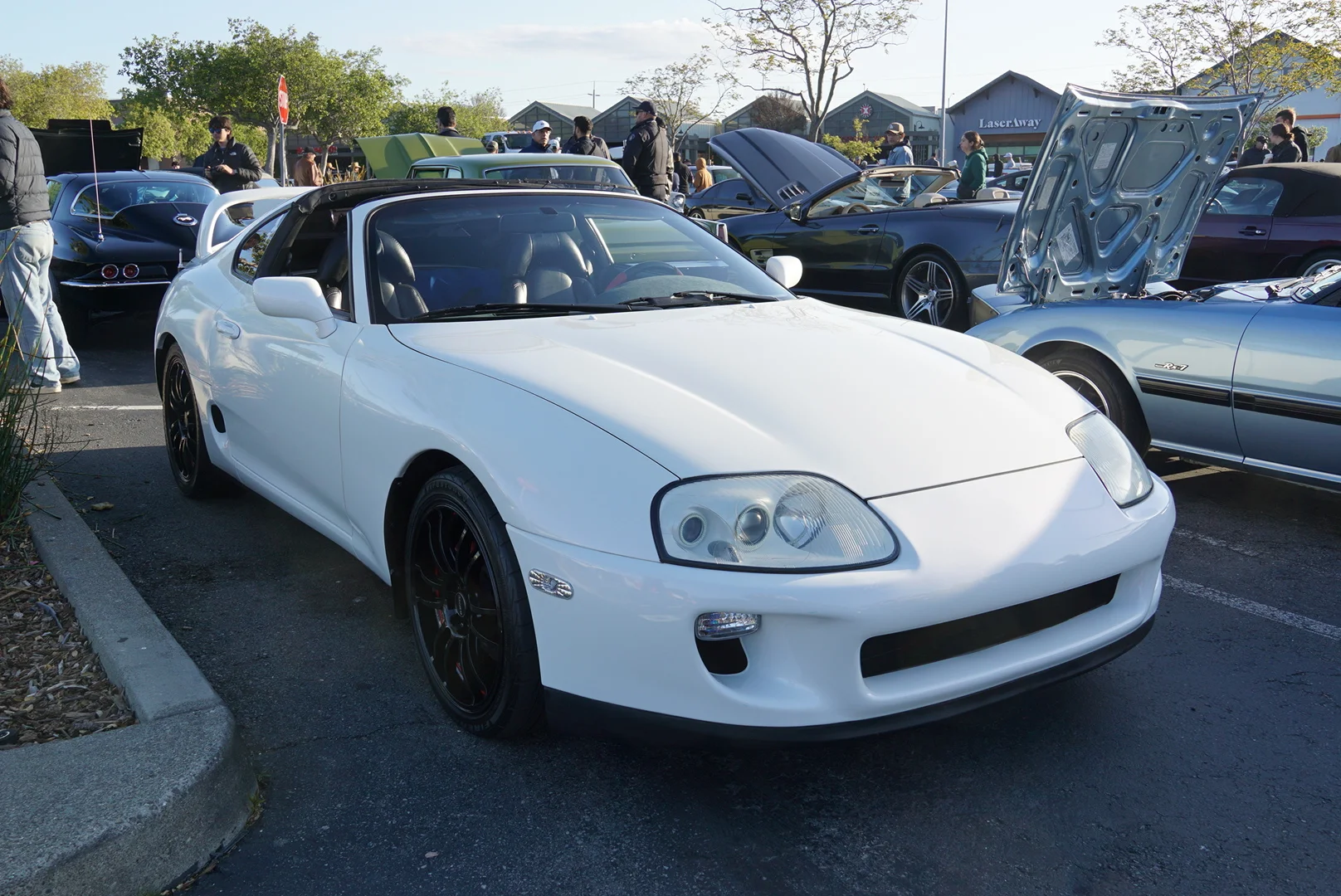 DSC05568.webp