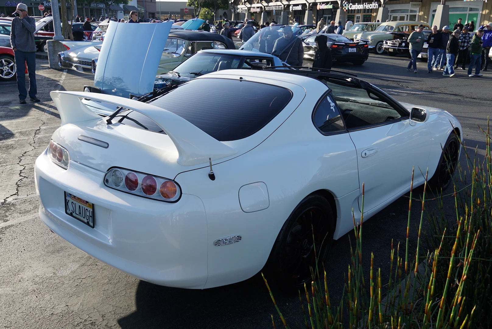 DSC05569.webp