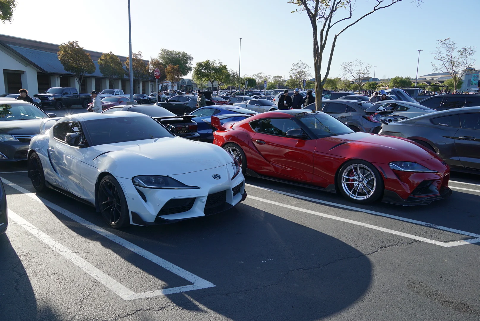 DSC05576.webp