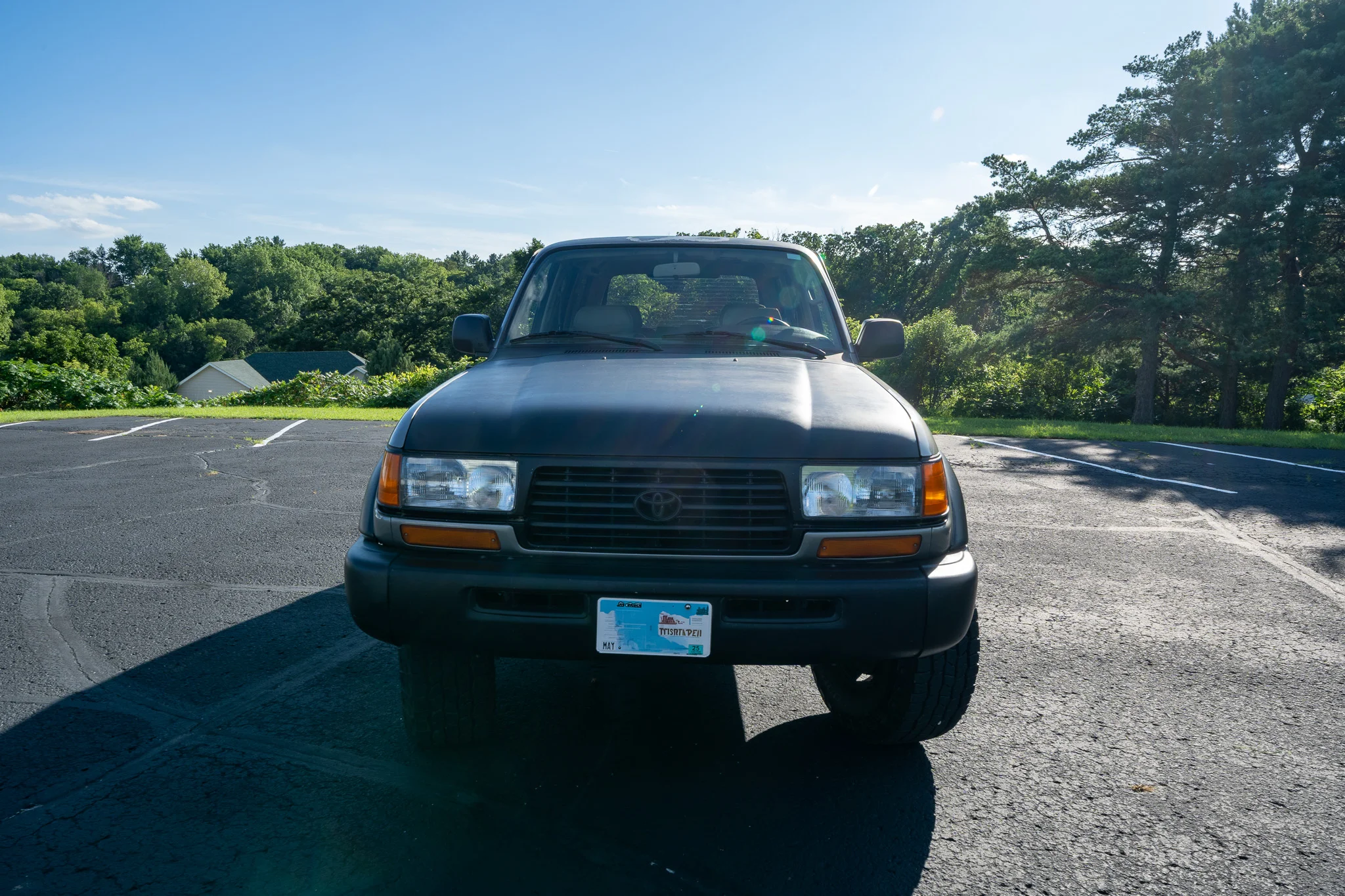 DSC07108.webp