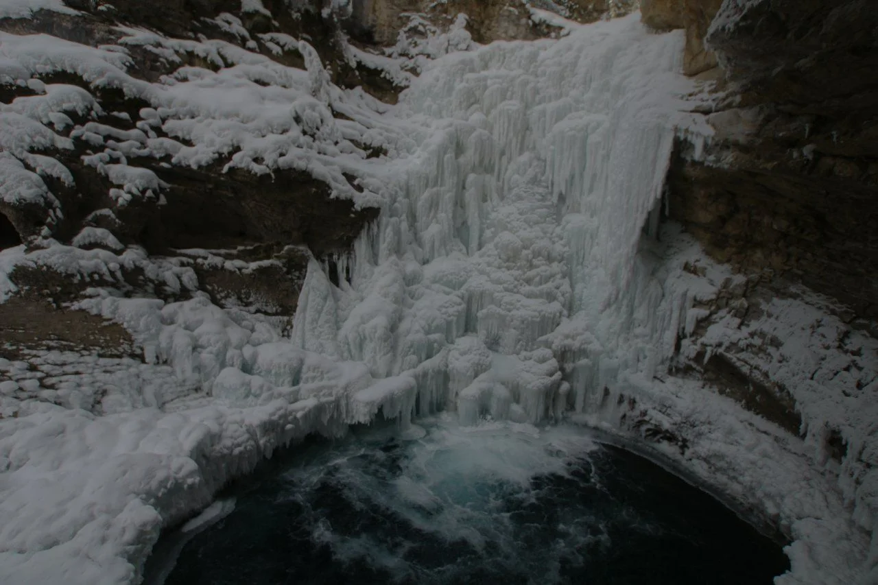 DSC07604.webp