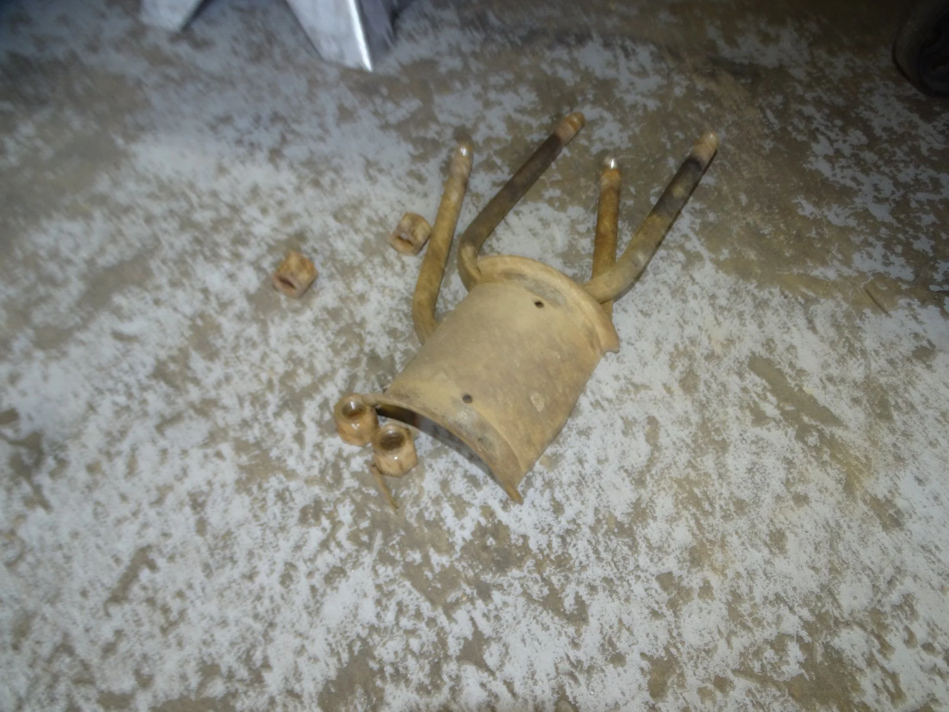 DSC08073.webp