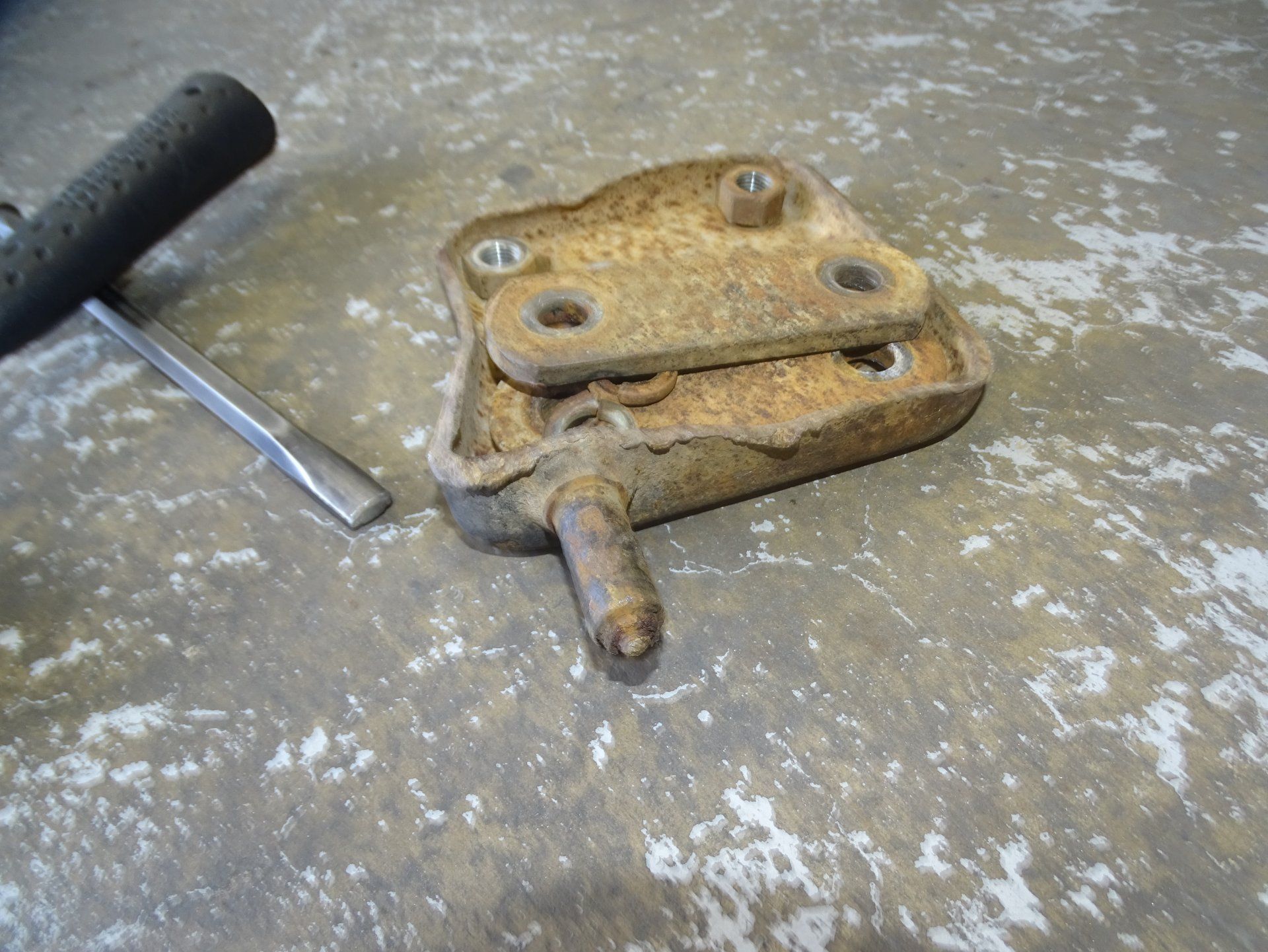 DSC08074.JPG