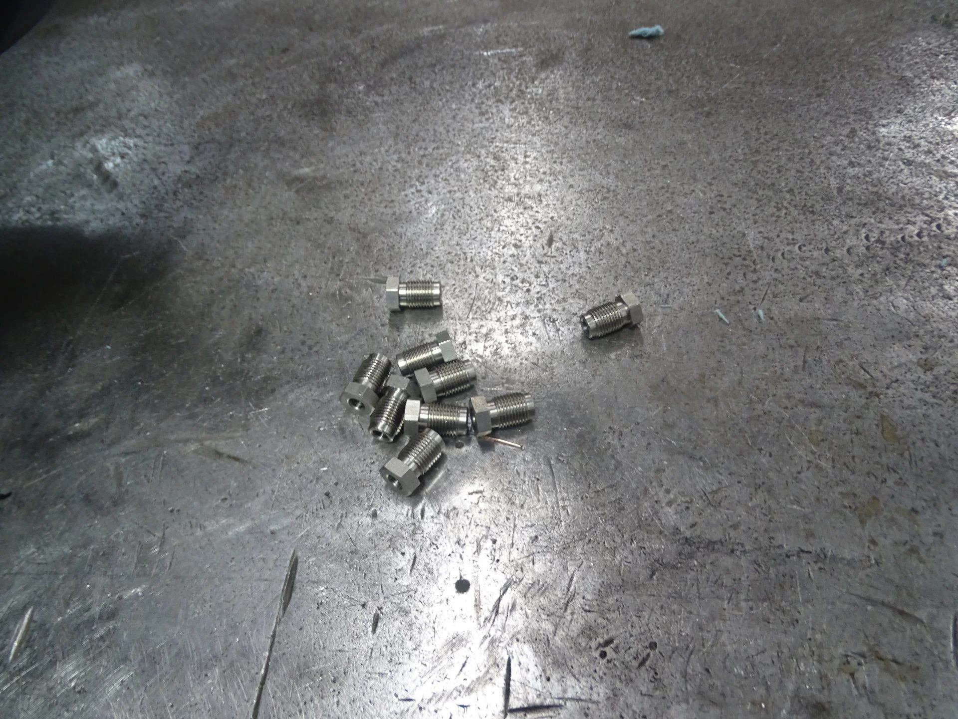 DSC08184.webp