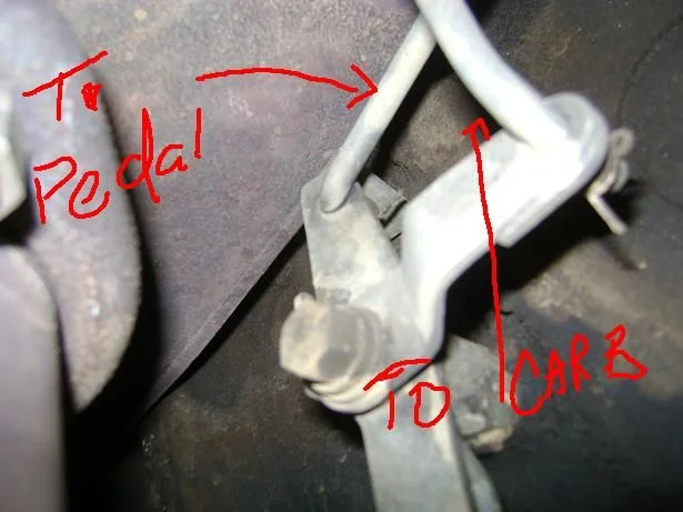 DSC08500.webp