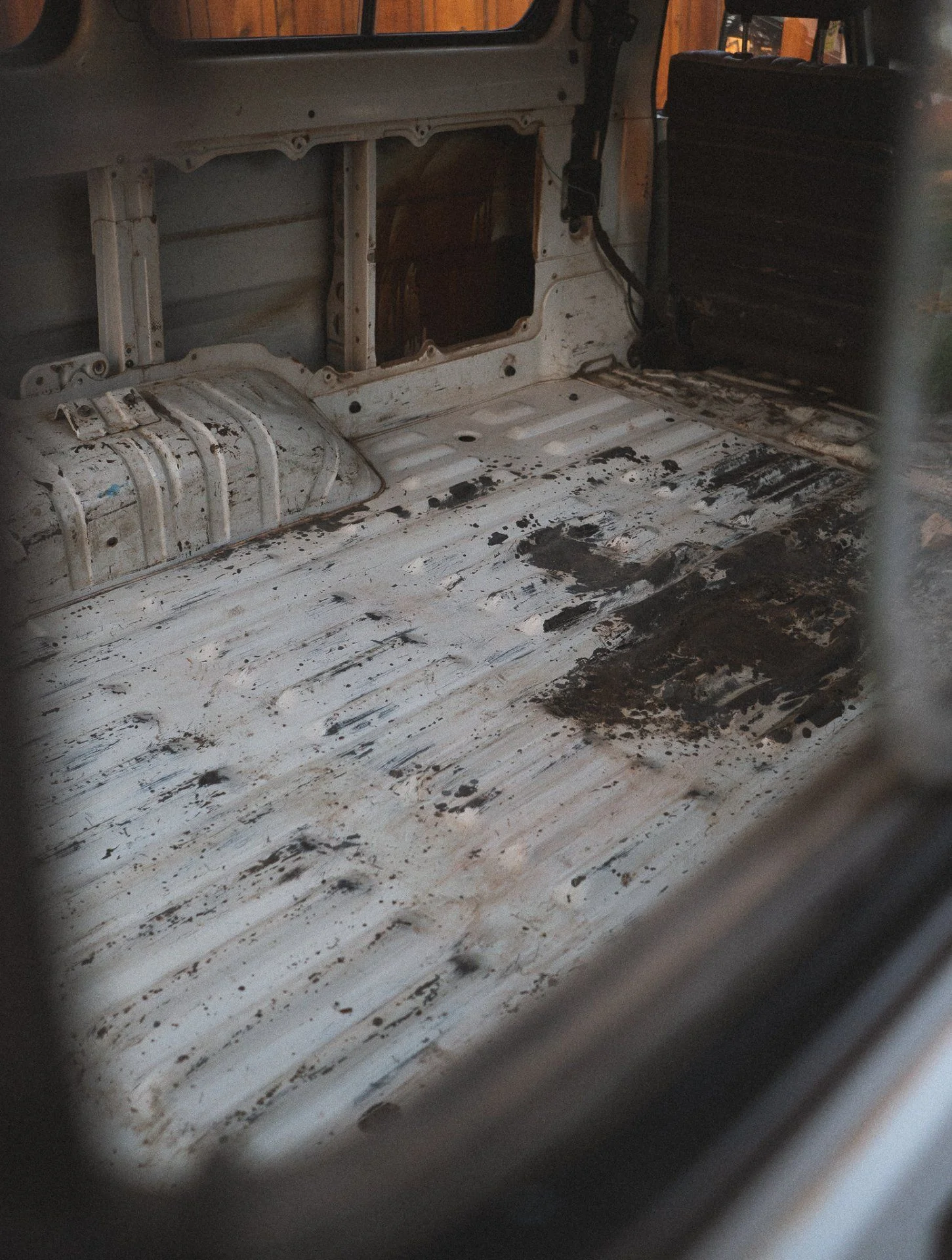DSC08883.webp
