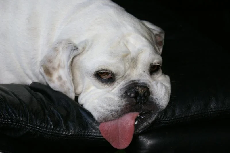 DSC09236.webp
