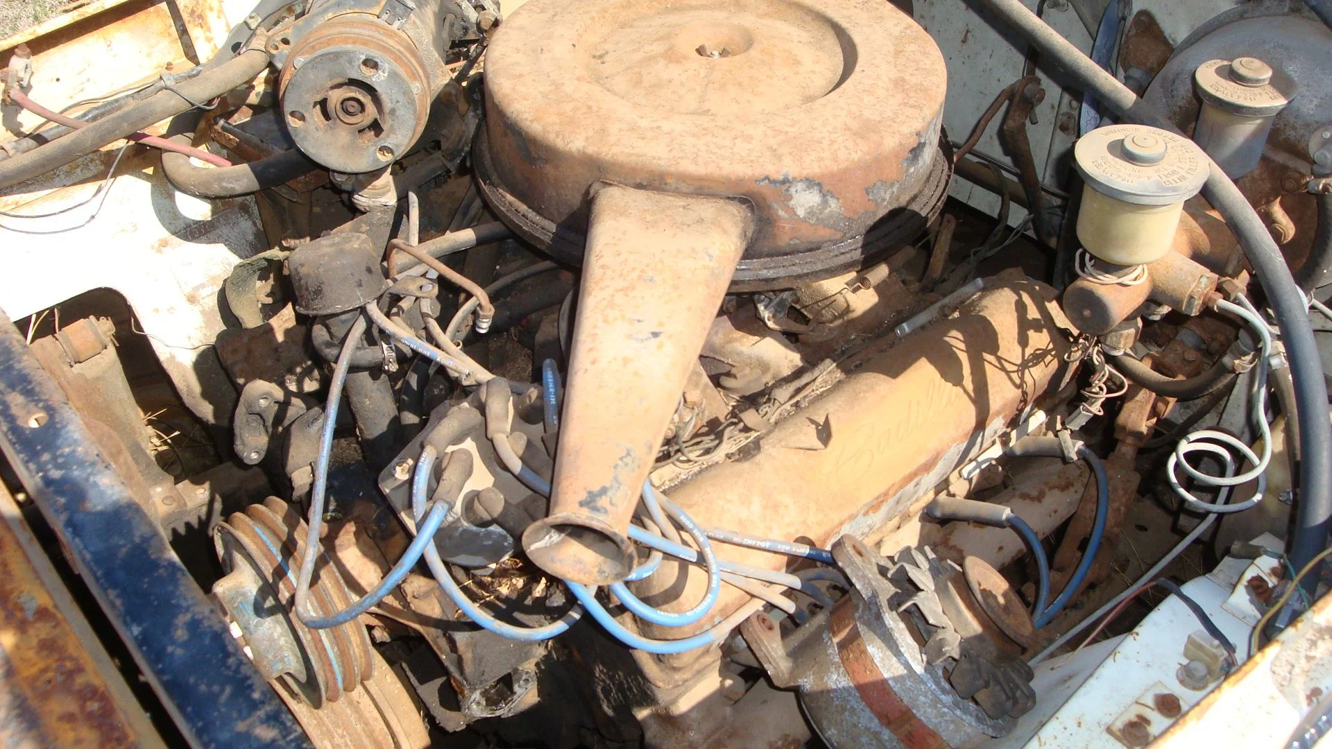 DSC09411.webp
