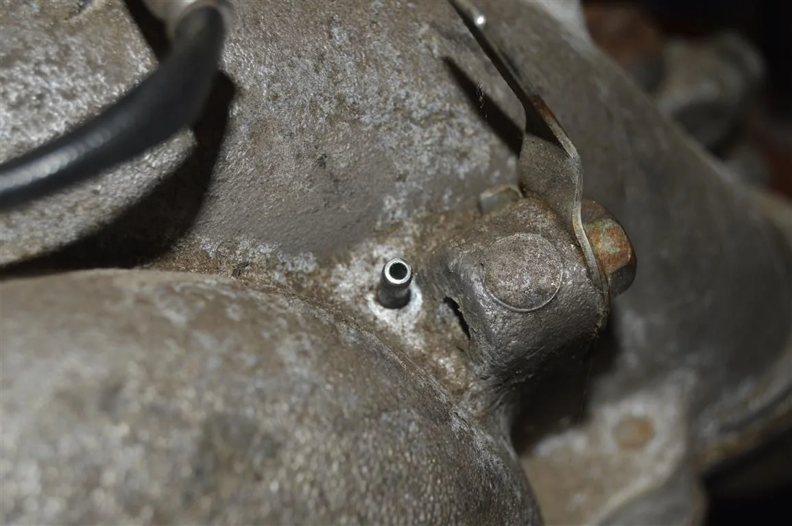 DSC_0007.webp