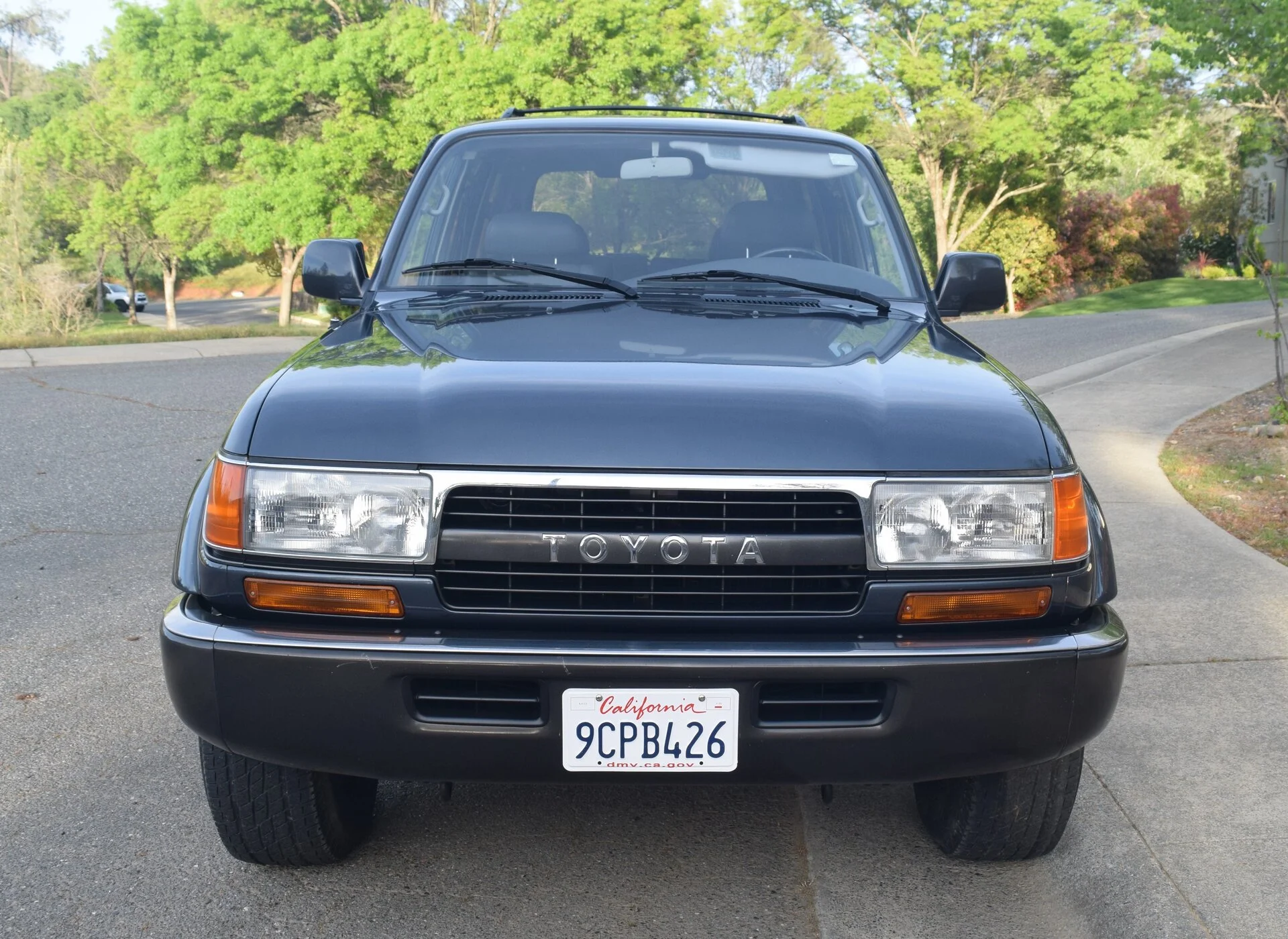 DSC_0017.webp