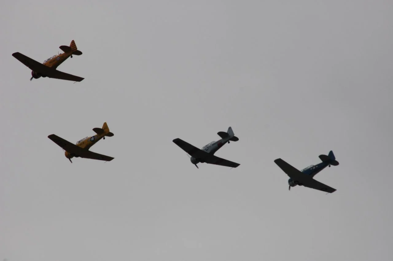DSC_0029.webp